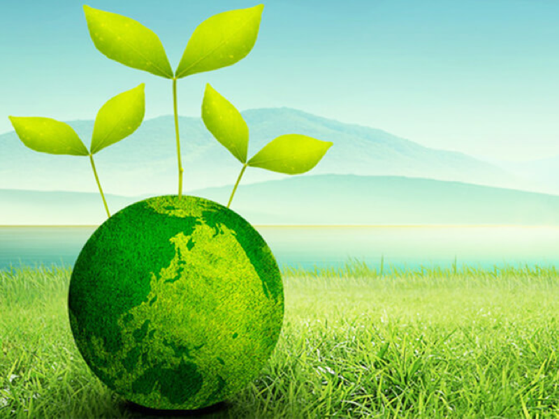 Социальная ответственность